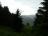 Bielice-046