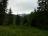 Bielice-050