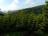 Bielice-053