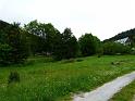 Bielice-010