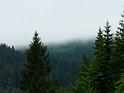 Bielice-024