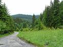 Bielice-027
