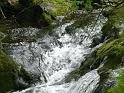 Bielice-030