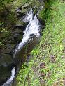 Bielice-033