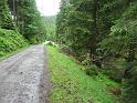 Bielice-034