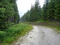 Bielice-042