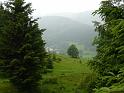 Bielice-043