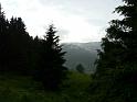 Bielice-046