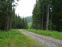 Bielice-048