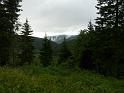 Bielice-050
