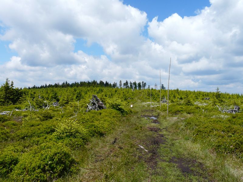 Bielice-TrawnaHora-Paprsek-Rudawiec-020.jpg