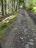 Bielice-TrawnaHora-Paprsek-Rudawiec-056
