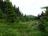 Bielice-TrawnaHora-Paprsek-Rudawiec-006