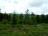Bielice-TrawnaHora-Paprsek-Rudawiec-007