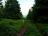 Bielice-TrawnaHora-Paprsek-Rudawiec-011