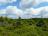 Bielice-TrawnaHora-Paprsek-Rudawiec-012