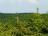 Bielice-TrawnaHora-Paprsek-Rudawiec-013