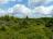 Bielice-TrawnaHora-Paprsek-Rudawiec-014
