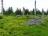 Bielice-TrawnaHora-Paprsek-Rudawiec-016