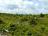 Bielice-TrawnaHora-Paprsek-Rudawiec-019