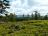 Bielice-TrawnaHora-Paprsek-Rudawiec-028