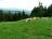 Bielice-TrawnaHora-Paprsek-Rudawiec-042