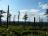 Bielice-TrawnaHora-Paprsek-Rudawiec-048