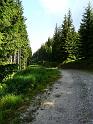 Bielice-TrawnaHora-Paprsek-Rudawiec-001