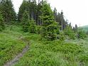 Bielice-TrawnaHora-Paprsek-Rudawiec-005