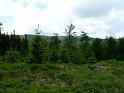 Bielice-TrawnaHora-Paprsek-Rudawiec-007
