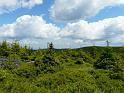 Bielice-TrawnaHora-Paprsek-Rudawiec-012
