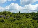 Bielice-TrawnaHora-Paprsek-Rudawiec-014