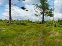 Bielice-TrawnaHora-Paprsek-Rudawiec-015