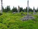 Bielice-TrawnaHora-Paprsek-Rudawiec-016