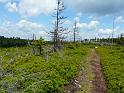 Bielice-TrawnaHora-Paprsek-Rudawiec-030