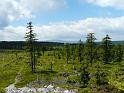 Bielice-TrawnaHora-Paprsek-Rudawiec-031