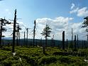 Bielice-TrawnaHora-Paprsek-Rudawiec-048