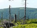 Bielice-TrawnaHora-Paprsek-Rudawiec-050