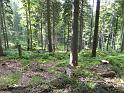 Bielice-TrawnaHora-Paprsek-Rudawiec-057