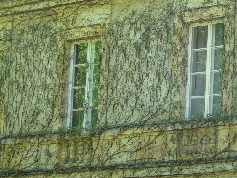Czerniejewo-053.jpg