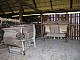 Dziekanowice-022.jpg