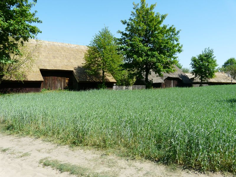 Dziekanowice-001.jpg