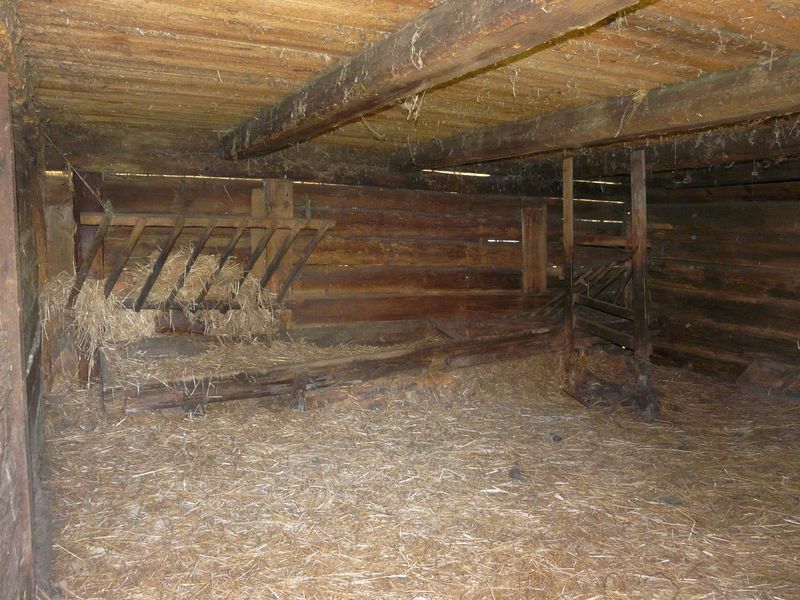 Dziekanowice-027.jpg