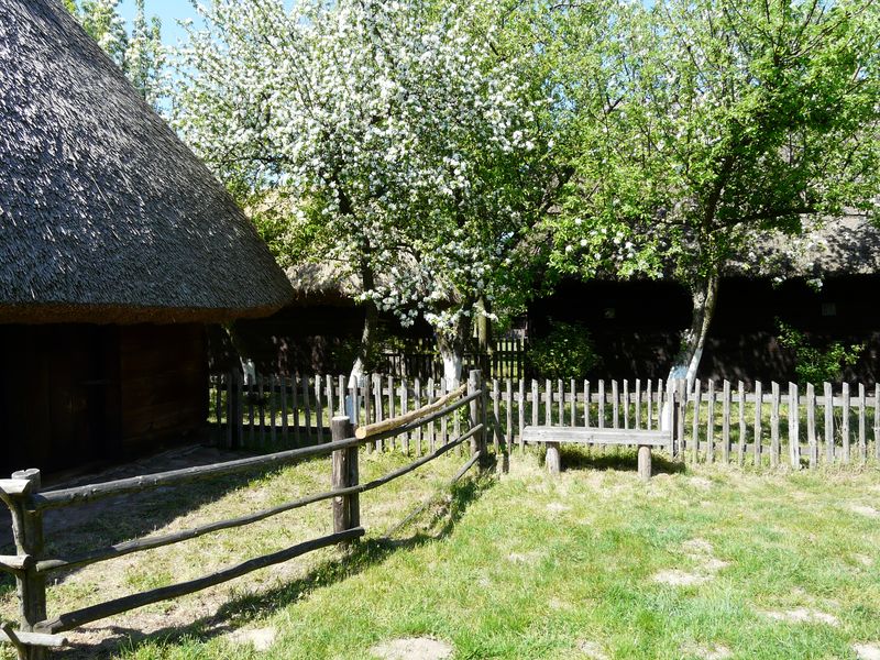 Dziekanowice-030.jpg