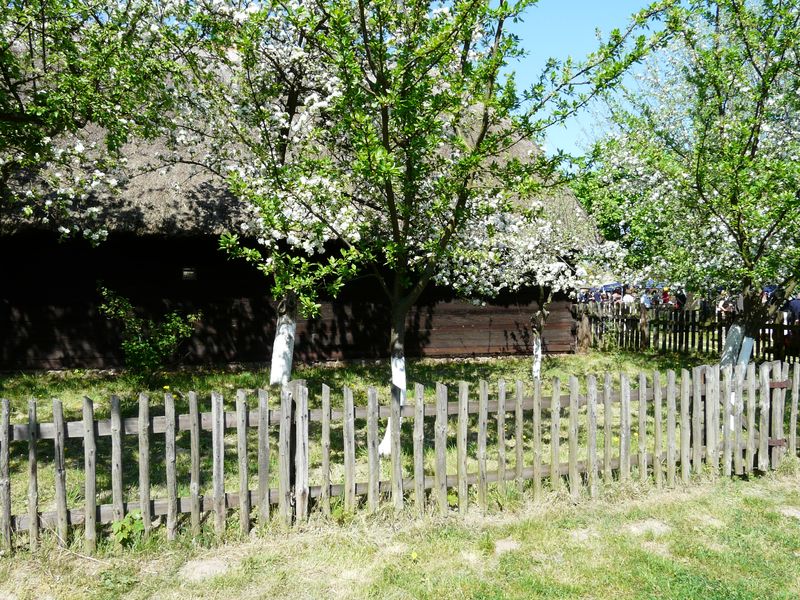 Dziekanowice-031.jpg