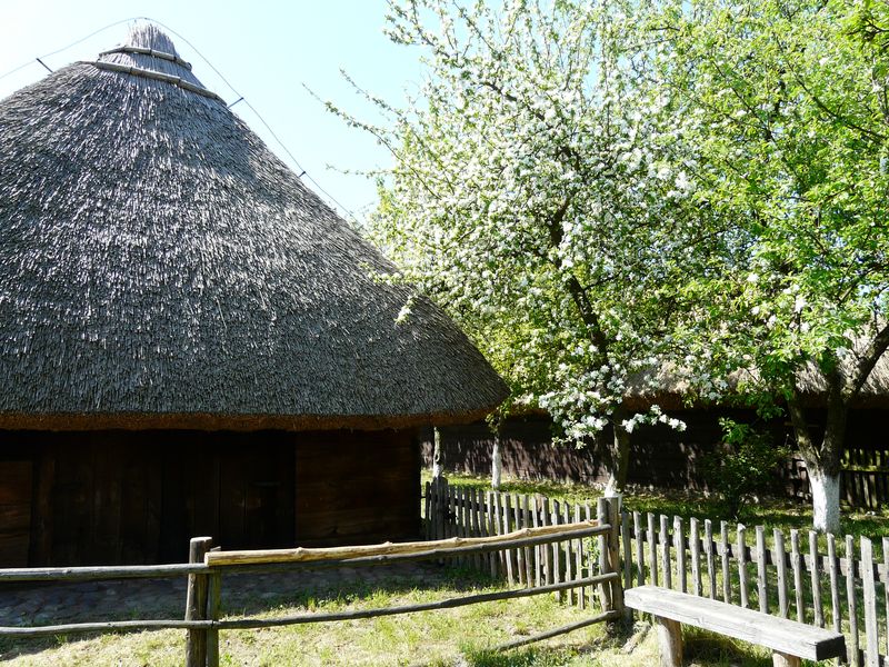 Dziekanowice-032.jpg