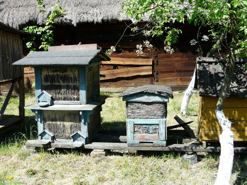 Dziekanowice-042.jpg