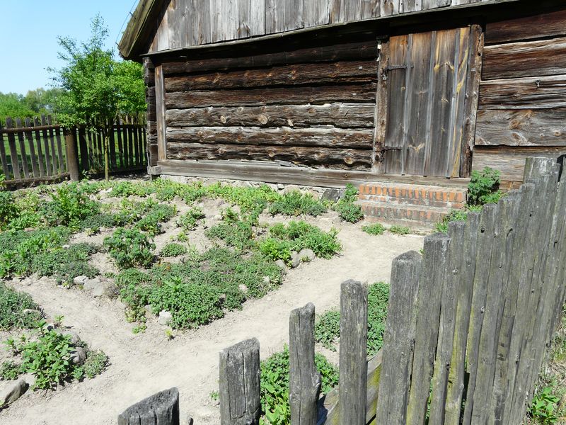 Dziekanowice-060.jpg