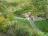 Dunmore Cave- 002