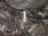 Dunmore Cave- 043